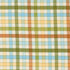 Animal Park Baby Quilt Kit by Stacy Iest Hsu for Moda Fabrics 45x52 Panel Kit