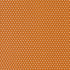 Animal Park Baby Quilt Kit by Stacy Iest Hsu for Moda Fabrics 45x52 Panel Kit