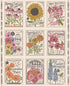 Preorder–Arriving August 2026 |My Secret Garden Fat Quarter Bundle 27 Fat Quarters + One Panel by Stacy Lest Hue for Moda Fabrics