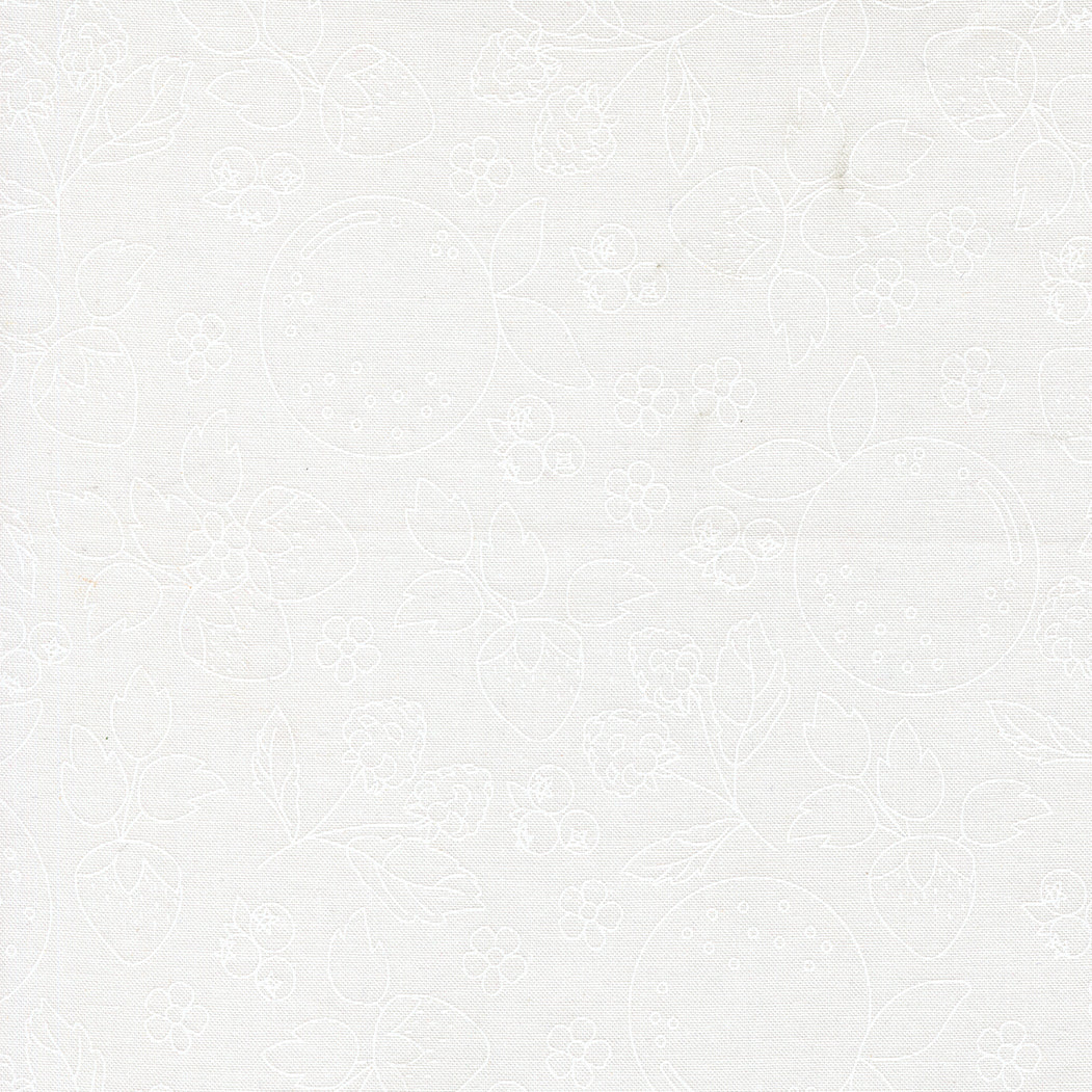 Fruit Salad Fat Quarter Bundle - 40 Fat Quarters – Corey Yoder for Moda Fabrics – PREORDER – Arriving April