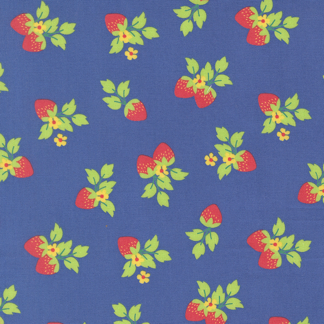 Fruit Salad Fat Quarter Bundle - 40 Fat Quarters – Corey Yoder for Moda Fabrics – PREORDER – Arriving April