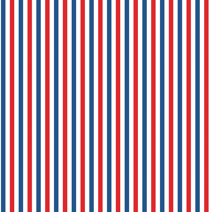 Liberty Stars Quilt Kit – Firecracker by My Minds Eye for Riley Blake – 56” x 74”