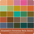 Koalas Quilt Kit by Elizabeth Hartman featuring Bella Solids Moda Fabrics 65 x 78