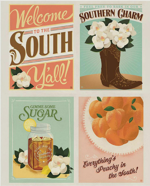 Southern Charm Quilt Panel Kit (56x72) Quilt Top by Riley Blake Fabrics