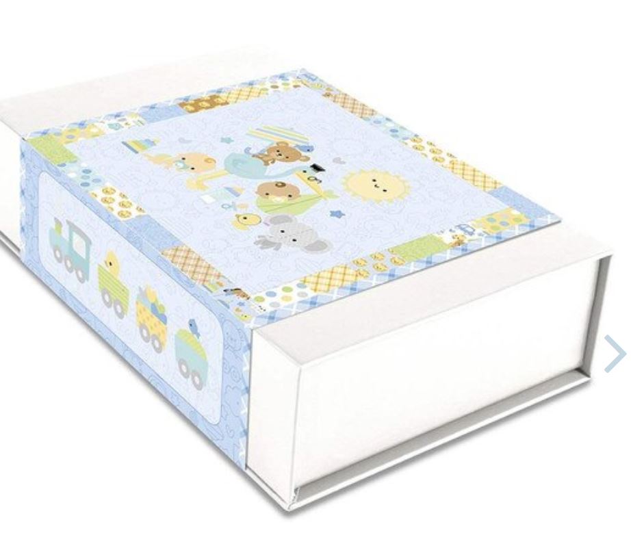 Special Delivery Panel Quilt Boxed Kit – A Cozy Welcome for Baby!