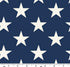 PREORDER – Americana Fat Quarter Bundle by Andover Fabrics – 27 Cuts (Ships March 2026)