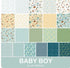 Baby Boy Fat Quarter Bundle – Lori Whitlock for Riley Blake – 21 FQs