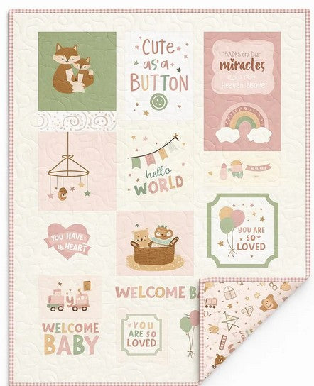 Baby Quilt Kit-  It’s a Girl Riley Blake Designs by Lori Whitlock 35.5” x 43” includes backing