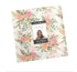 Kindness Layer Cake 10x10 by Deb Strain for Moda Fabrics  January shipping