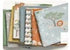 Leo & Savannah Fat Quarter Bundle -21 Precut Fabrics -Deena Rutter  Riley Blake - Safari Collection ships in April