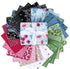 Sewing Bee Quilt Kit – Featuring Perennial by Jill Finley for Riley Blake Designs Finished Quilt Size: 64" x 78"