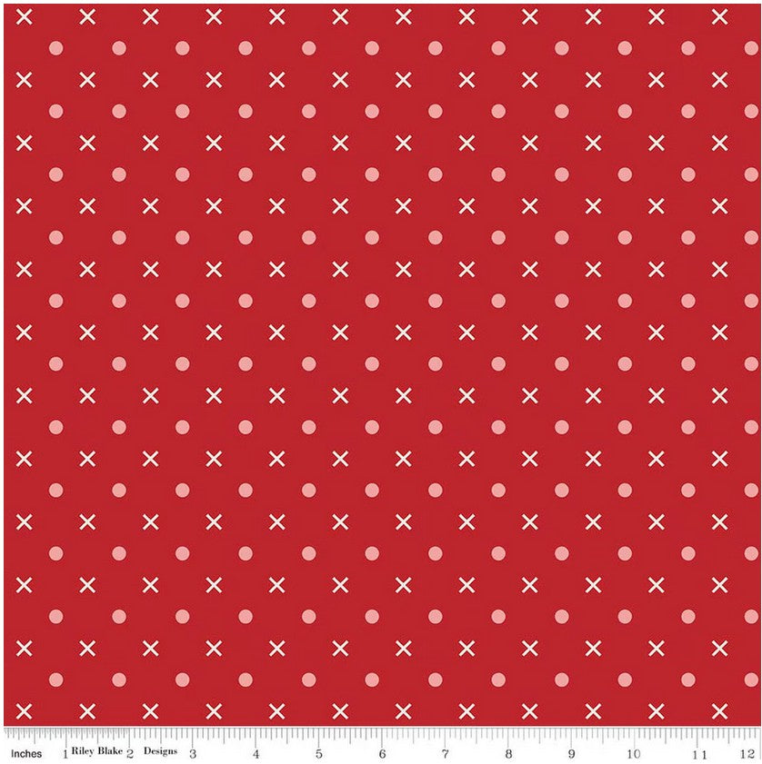 Bee Dots Schoolhouse – Wide Back – Lori Holt – 3 Yard Bundle – 107"/108" – Riley Blake Designs